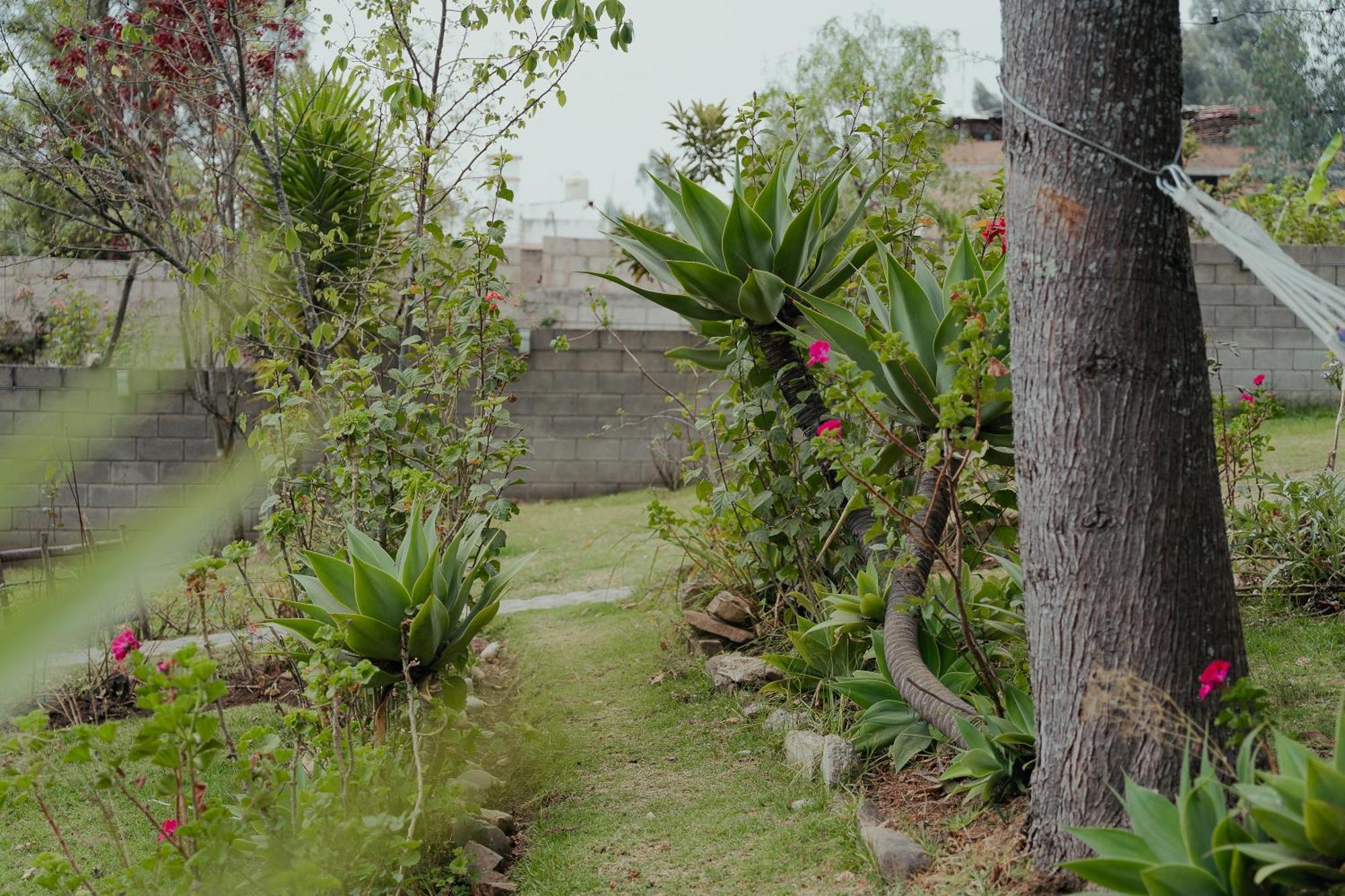 Kinti Wasi Casa De Campo Hospedaje Los Banos del Inca Buitenkant foto